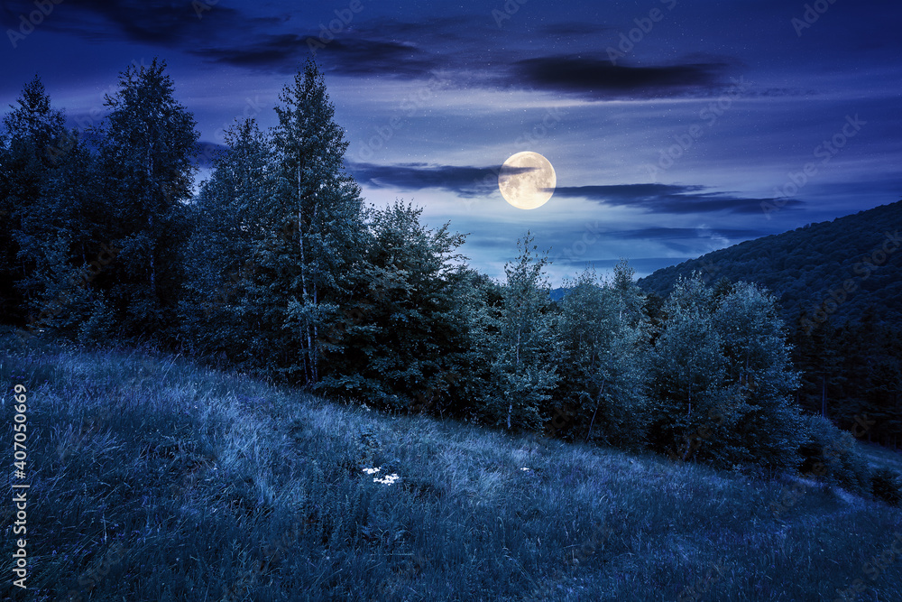 Wall mural trees on the hill in summer scenery at night. beautiful mountain landscape in full moon light
