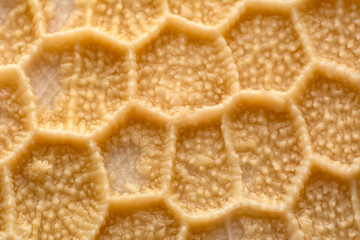 Close up cooked tripe on a white background

