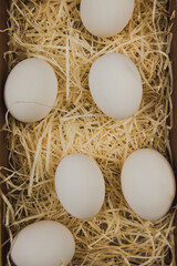 Six white chicken eggs lie in a wooden box in straw