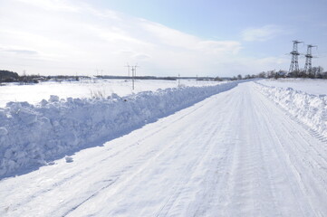 Fototapeta premium winter trees