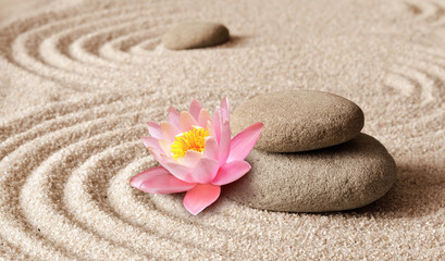 Zen garden meditation stone background and flower with stones and lines in sand for relaxation...