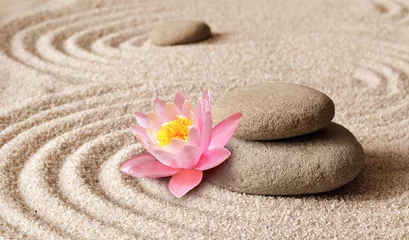 Fotobehang Zen Stenen Zen garden meditation stone background and flower with stones and lines in sand for relaxation balance and harmony  © Belight