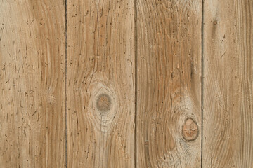 Old wooden door background. Vintage texture. 