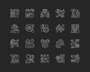 Genetic engineering chalk white icons set on black background. Chromosome division. Animal mutation. Medical, industrial biotechnology. Cloning. Isolated vector chalkboard illustrations