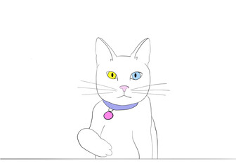 Illustration of one white cat with heterochromia wearing colorful collar, looking over top of table, one paw reaching up.