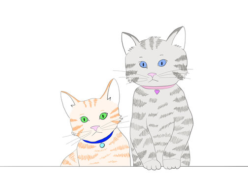 Illustration Of Two Tabby Kittens Wearing Colorful Collars, Blank ID Tags Looking Over Top Of Table. 1 Kitten Peaking Over The Other With Front Paws On Top Of The Surface. Looking Directly At Viewer.