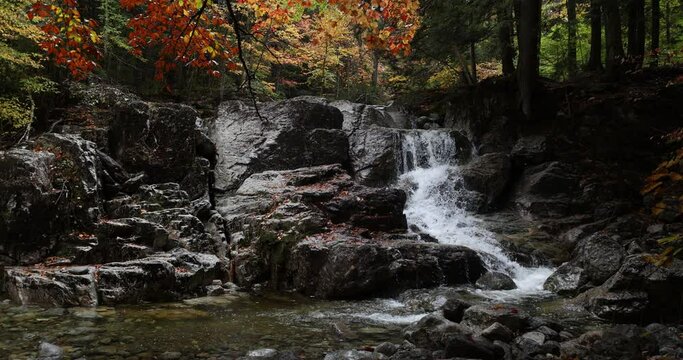 Slow motion of small waterfall and creek in autumn woods.