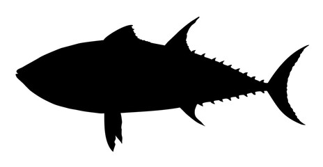 silhouette of a tuna fish vector