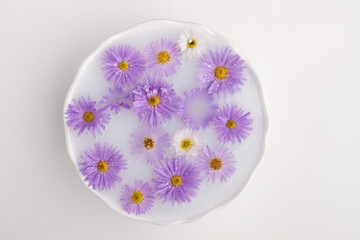 Aster flowers in a white bowl with milk on white background. Top view