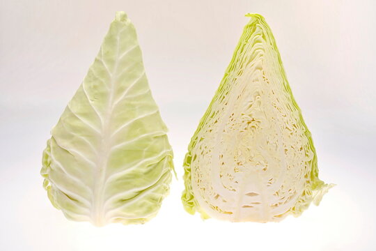 Spitzkohl