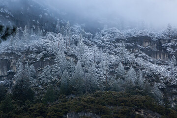 Mountain Shrouded by a cloud