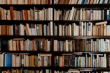 Libros antiguos, librería, biblioteca - obrazy, fototapety, plakaty