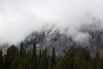 Mountain with morning mist in Black and White