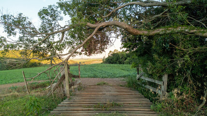 Obraz premium Charming and small rural bridge made of wood with a tree forming a beautiful arch over it.