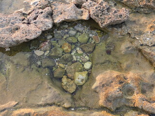 Beautiful view of rocks and seashells underwater in sandstone depressions on the Mediterranean coast in Haifa, Israel in winter.