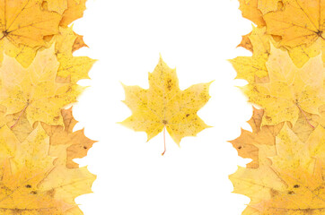 Canadian flag of yellow maple leaves