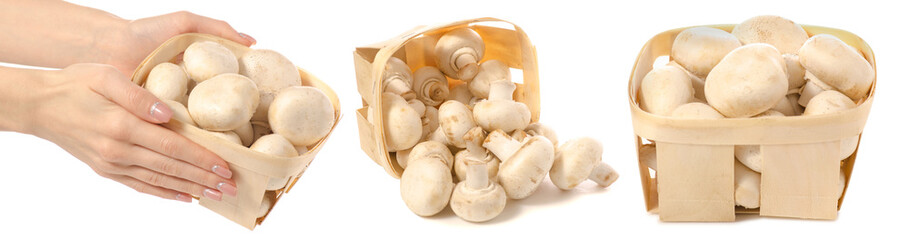 Set Champignon mushrooms in basket on white background isolation