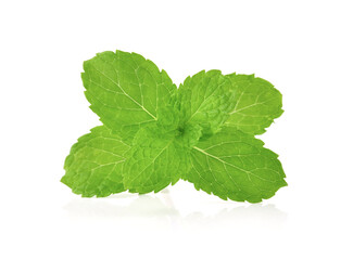 mint leafs herb. isolated on white background