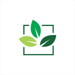 square nature leaf logo design