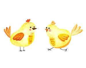 Watercolor illustration with yellow cute chickens on a white background. Easter illustration for holidays, postcards, packaging, fabrics