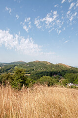 Malvern hills in the Summertime