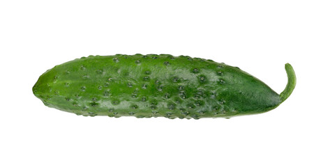 Fresh cucumber closeup isolated on white background