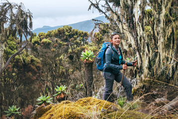 Young woman with backpack and trekking poles having a hiking walk on the Umbwe route in the forest to Kilimanjaro mountain. Active climbing people and traveling concept.