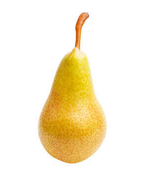 Conference pear isolated on white background