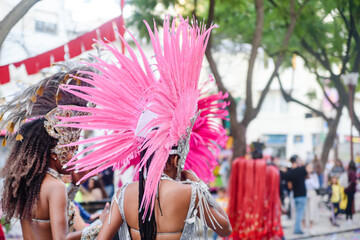 Dancers wearing colorful feathers costumes gathered for a parade. Back view blurry defocused...