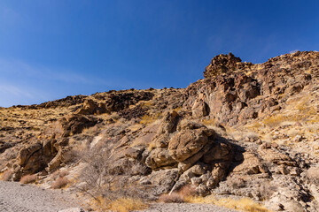 Sunny view of the beautiful landscape around Petroglyph Canyon Trail