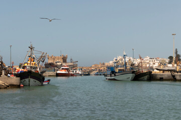 boats in the port in Essaouira, Morocco