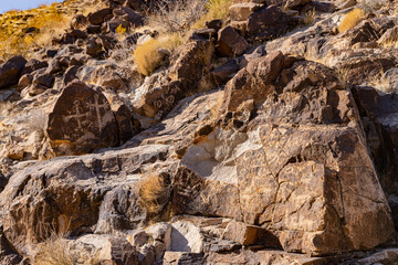 Sunny view of the beautiful landscape around Petroglyph Canyon Trail
