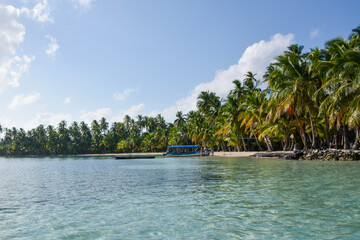 beach with palm trees on San Blas islands, Panama