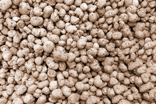 Lightweight Expanded Clay Aggregate Macro Background. Lightweight Hydro Material Pellet Balls.