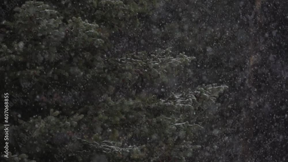 Poster slow motion close view of snow falling over a tree in a forest.