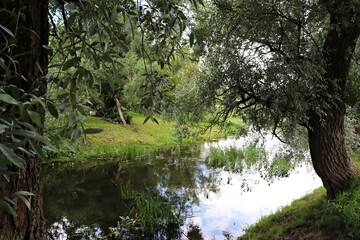 Calm bed of a small river with banks overgrown with green grass and trees