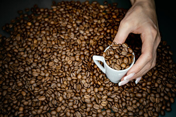 
coffee beans in beautiful female hands