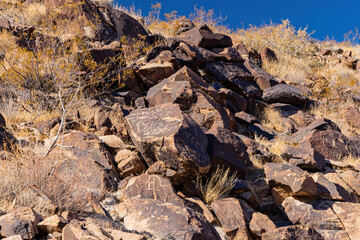 Sunny view of the beautiful landscape around Petroglyph Canyon Trail