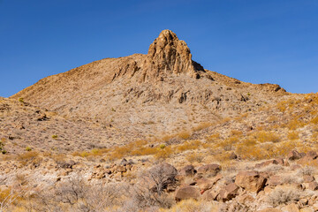 Fototapeta na wymiar Sunny view of the beautiful landscape around Petroglyph Canyon Trail