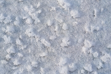  Flowers from the hoarfrost  on the ice of the lake. Ice flowers as background.Nature background.