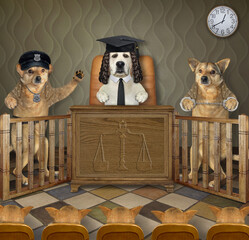 A dog policeman testifies at a court hearing. A judge, a criminal and a jury listen to him...