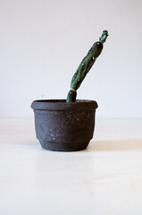 cactus verde verticale su vaso in pietra con sfondo bianco 