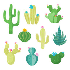 Cactus flat style Vector illustration on white