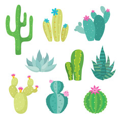 Cactus cute style Vector illustration on white