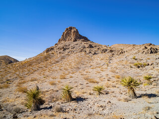 Sunny view of the beautiful landscape around Petroglyph Canyon Trail
