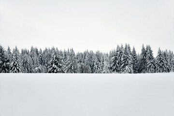 weiße Winterlandschaft in der Rhön