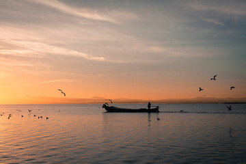Naklejka premium Sunset in the Albufera of Valencia, Spain