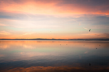 Sunset in the Albufera of Valencia, Spain