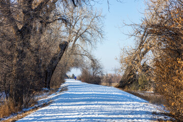 Winter landscape in deKoevend Park along the High Line Canal in Greenwood Village, Colorado