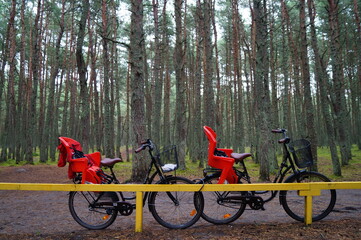family bikes in the woods
